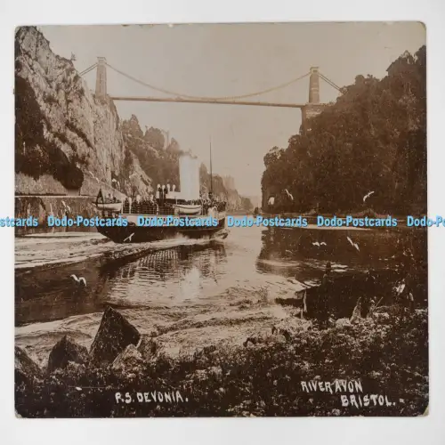 C027396 Bristol River Avon P S Devonia