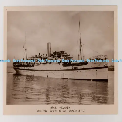C029550 H M T Neuralia G A Pratt Southampton