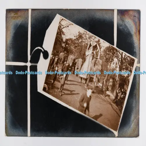 C029914 Elephants on the Street People PM Gloucester 1907