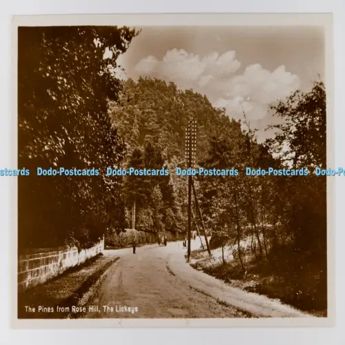 C029930 The Pines From Rose Hill The Lickeys Pinehurst Tea Gardens RP
