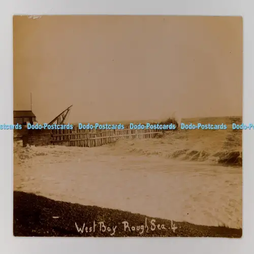C029961 West Bay Rough Sea Bridport Shephard