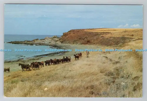 R782839 Paphos Zypern Pomos Point Omni Karte