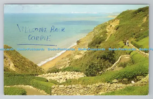R784805 I W Blackgang Chine W J Nigh Ventnor I O W Plastichrome von Colourpicture
