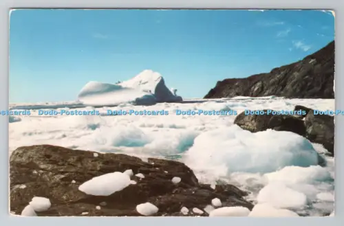 R791461 Northern Newfoundland St Anthony Point 1994