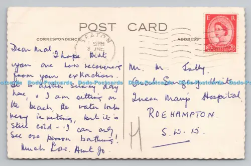 R792427 Dartmoor Ponys PM Seaton