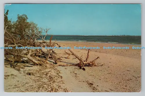 R793120 Florida Sanibel Island Bay Side of Lighthouse Point zeigt neue Brücke a