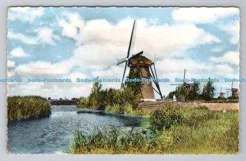 R793393 Niederländische Windmühle Kinderdijk Gebr Spanjersberg PM Amsterdam 1960