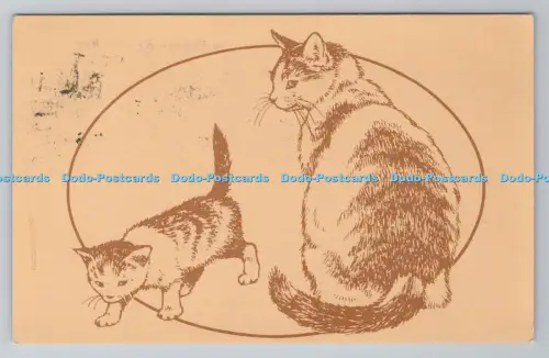 R793396 Cats PM Oxford 1996