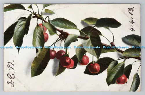 R800315 Cherry Dr Trenkler 1903