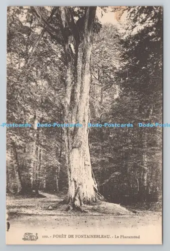 R803963 Foret de Fontainebleau Le Pharamond