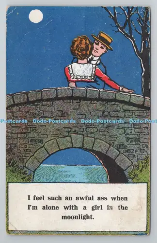 R804003 I Feel So An Awful ass When I m Alone With a Girl in the Moonlight Ent