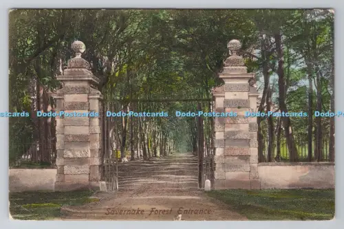 R804111 Savernake Forest Entrance F Frith Reigate No 47699 PM Marlborough 1904