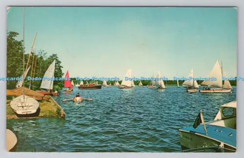 R804199 Wroxham Broad Norfolk Broads Jarrold Norwich England