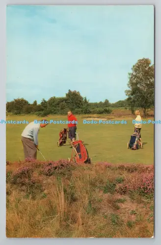 R804206 Britain Countryside On The Golf Links J Salmon Sevenoaks