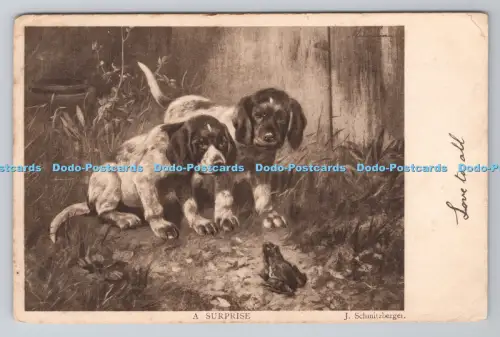 R804307 A Surprise Dogs and Frog J Schmitzbergen S Hildesheimer London Mancheste