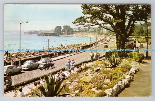 R804328 Torquay Gardens and Sea Front Printed in Great Britain