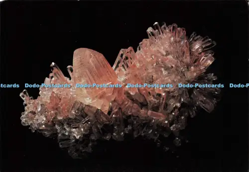 D142732 British Museum Calcite CaCO3 Rhomboedral Group of crystal with butterf