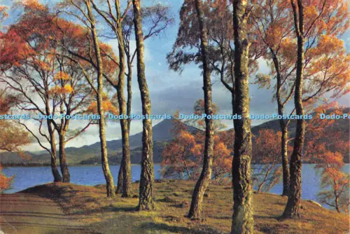 D182667 Schottland. Die Ufer des Loch Rannoch Perthshire. J. Arthur Dixon. 1983