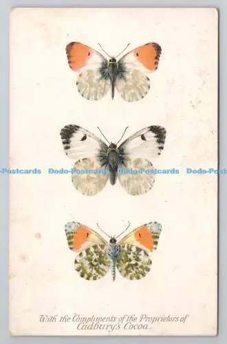 R804639 Mit den Komplimenten der Besitzer von Cadbury Cocoa. Die orange Spitze