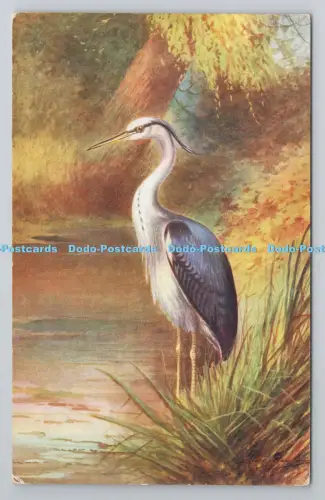 R804656 Reiher. J. Salmon. Sevenoaks. Eng