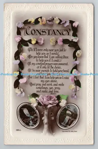 R804677 Konstanz. Rose. Wasserfall. Lilywhite. Halifax. RP