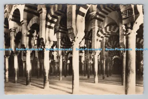 R804775 Cordoba. Die Moschee. Das Säulenlabyrinth. Arribas