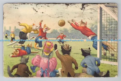 R804900 Gruppe von Katzen, die Ball spielen. Max Kunzli. Zürich