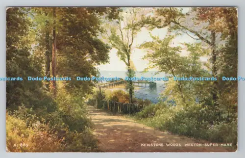 R806489 Weston Super Mare. Kewstoke Woods. Valentinstag. Kunstfarbe. 1242V. Stil.