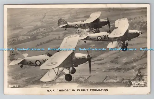 R806588 R.A.F. Hinds in Flugformation. Valentinstag. Flugzeug. RP
