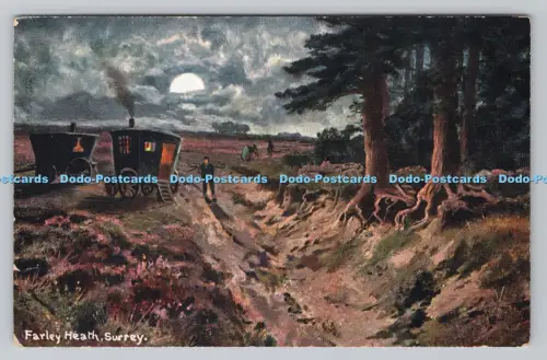 R808320 Surrey. Farley Heath. S. Hildesheimer. London. Manchester. Serie Nr. 53