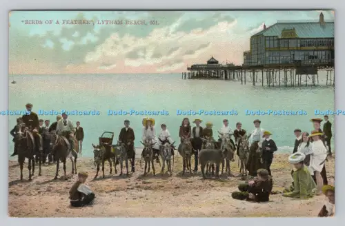 R808322 Lytham Beach. Vögel einer Feder. Serie Grosvenor. W.A. und S.S