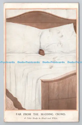 R806629 Weit weg von der wahnsinnigen Menge. Eine kleine Studie in schwarz-weiß. J. Beagle