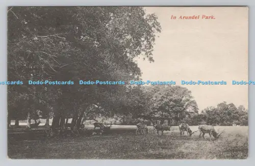 R808355 in Arundel Park. A. W. Lapworth