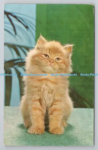 R805046 Die Kat. Gedruckt in Großbritannien. PM. Hatfield. Herten. 1968