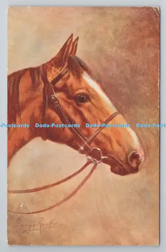 R806634 Das Pferd. J. Salmon. Sevenoaks. PM. Edgware. Middlesex. 1954