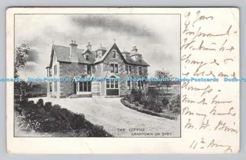 R808379 Grantown auf Spey. The Coppice. 1904