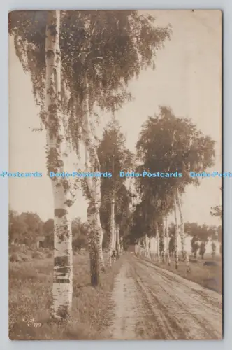 R810455 Im Wald. Postkarte