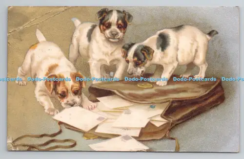 R806678 Drei Hunde. Wildt und Kray. London. Serie. 535. PM. Bournemouth. 1905