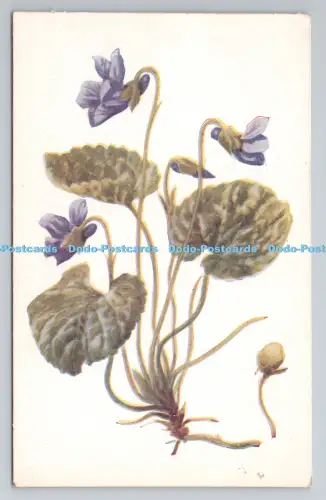 R806681 Violett. London County Council Prämienkarte