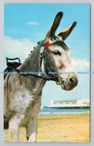 R805098 Strandesel. D. Konstanz. Littlehampton. Sussex. John T. Pullen