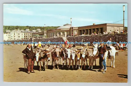 R805101 Esel bei Weston Super Mare. Gedruckt in Großbritannien