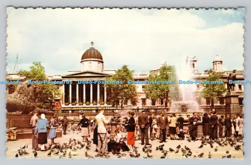 R808413 London. Trafalgar Square und National Gallery. Der fotografische Gruß