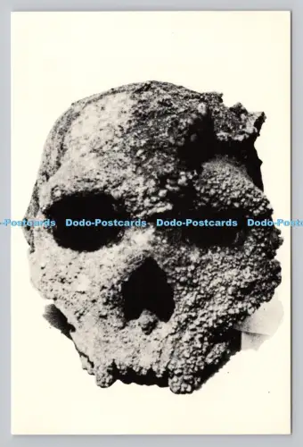 R810475 Der Archanthropus Europaeus Petraloniensis Schädel wie er gefunden wurde