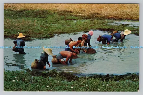 R810499 Ein Paar 4-köpfige Drachen an der Haupttreppe zum Klettern auf dem Doi Suthep