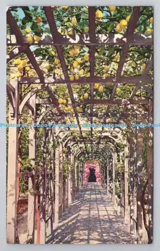 R806771 Villa Carlotta. Viale Coperto. Brunner. Como