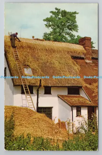 R805188 Britain Countryside. Schlüpfen in Wickhambrook. Sussex. J. Salmon. Sieben