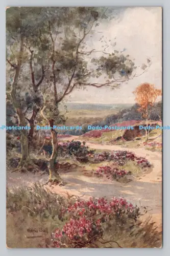 R808495 Hinterkopf. Zwischen den Surrey Hills. J. Salmon. Sevenoaks. England. Wiltrid