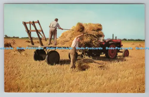 R805189 Großbritannien Countryside. Carting der Ernte. J. Salmon. Sevenoaks