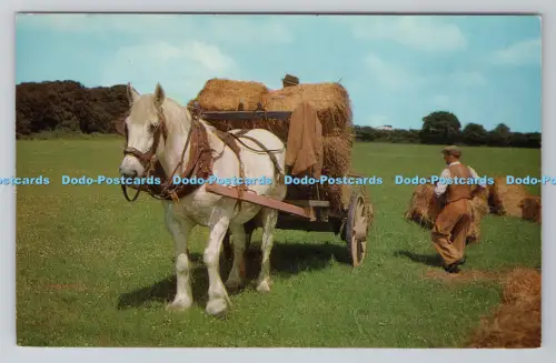 R805190 Britain Countryside. Carting Strawbales. J. Salmon. Sevenoaks