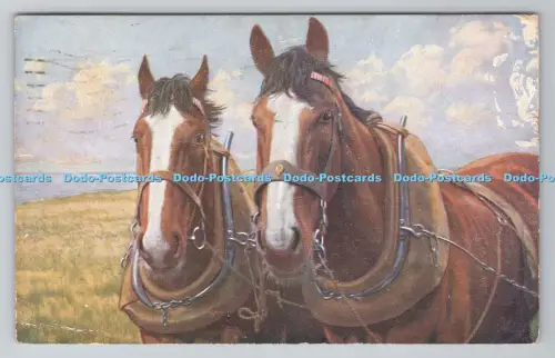 R805193 Pferde. J. Salmon. Sevenoaks. PM. Hastings. Sussex. 1943